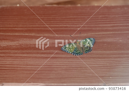 Suminagashi 93873416