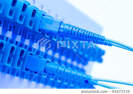 Fiber Optic Distribution Frame Hardware Technology Fiber Optic Distribution Frame Hardware Technology 93873539