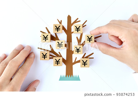 money tree and male hand 93874253