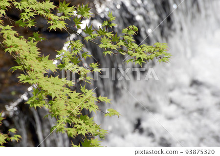 Kibune Shrine Kibune River Sakyo Ward, Kyoto City 93875320