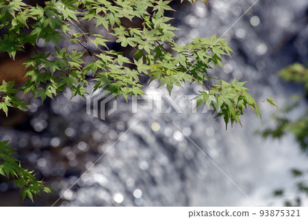 Kibune Shrine Kibune River Sakyo Ward, Kyoto City 93875321