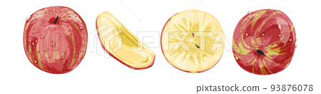 Hand drawn watercolor style illustration of a juicy apple Hand drawn watercolor style illustration of a juicy apple 93876078