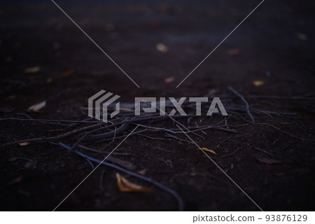 collected branches collected branches 93876129
