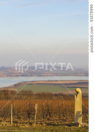 spring vineyard near Pavlov, Southern Moravia 93876990