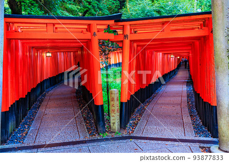 Kyoto Fushimi Ward Fushimi Inari Taisha Senbon Torii 93877833