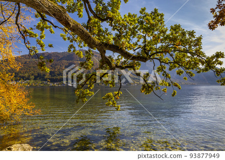 Lake and castle park in Gmunden, Austria Lake and castle park in Gmunden, Austria 93877949