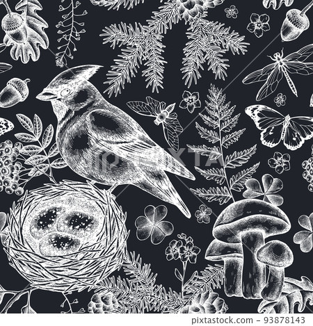 Mysterious forest seamless pattern background design. Engraved style. Hand drawn waxwing, nest, spruce branch, pine cones, insect, aspen mushroom, oak, rowan, forget me not flower, plain tiger, clover Mysterious forest seamless pattern background design. Engraved style. Hand drawn waxwing, nest, spruce branch, pine cones, insect, aspen mushroom, oak, rowan, forget me not flower, plain tiger, clover 93878143