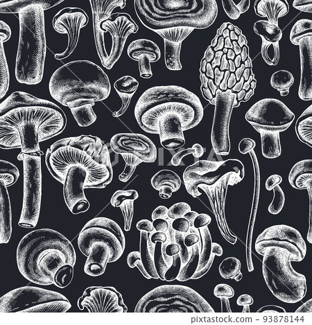 Seamless pattern with hand drawn chalk oyster mushroom, champignon, honey agaric, etc. Seamless pattern with hand drawn chalk oyster mushroom, champignon, honey agaric, etc. 93878144