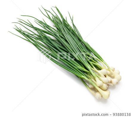 a bunch of green onions in detail, the object is isolated on a white background, the concept of fresh vegetables and healthy food a bunch of green onions in detail, the object is isolated on a white background, the concept of fresh vegetables and healthy food 93880138