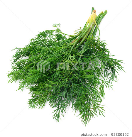 a bunch of green dill in detail, object is isolated on a white background, concept of fresh vegetables and healthy food 93880162