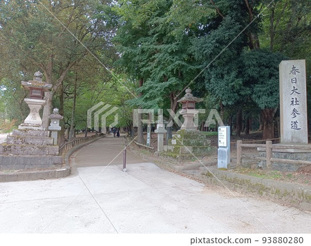 Visit Kasuga Taisha Shrine Visit Kasuga Taisha Shrine 93880280