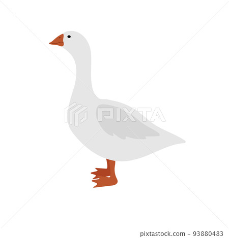 Vector hand drawn flat goose duck 93880483