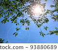 Sunbeams 93880689
