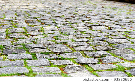 Paving stones. Paved pavement with sprouted green grass on a warm sunny day Paving stones. Paved pavement with sprouted green grass on a warm sunny day 93880690