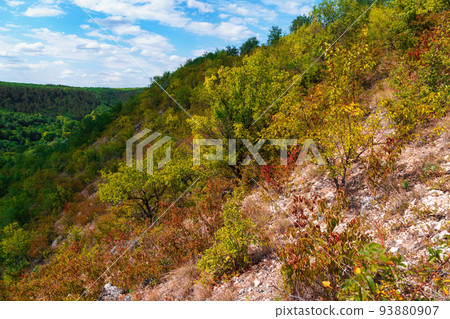 forest on a hill, wild grass and rocks, beautiful valley with green trees, blue sky with clouds on the horizon, beautiful summer landscape, bright sunny day forest on a hill, wild grass and rocks, beautiful valley with green trees, blue sky with clouds on the horizon, beautiful summer landscape, bright sunny day 93880907