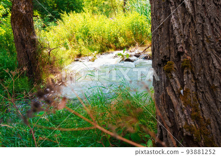a small river in a wild forest, a beautiful summer landscape, bright sunlight through the trees reflected in the water 93881252