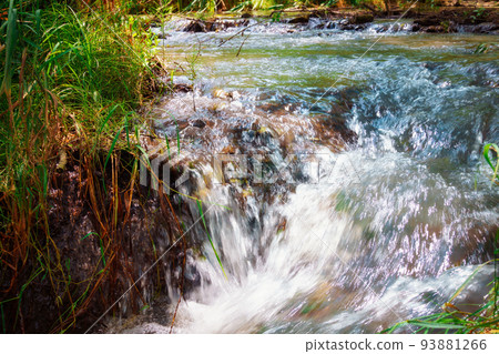 a stream of water close view, a small river in a wild forest, a beautiful summer landscape, bright sunlight through the trees reflected in the water. a stream of water close view, a small river in a wild forest, a beautiful summer landscape, bright sunlight through the trees reflected in the water. 93881266