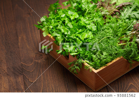 a top of bunch of green dill, parsley, salad, herbs and other greens in a wooden box, dark wood background, concept of fresh vegetables and healthy food a top of bunch of green dill, parsley, salad, herbs and other greens in a wooden box, dark wood background, concept of fresh vegetables and healthy food 93881562