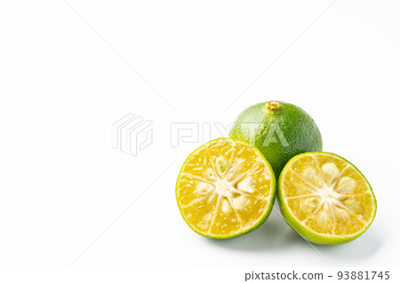 Shikuwasa Shikuwasa 93881745