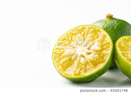 扁實檸檬 93881746