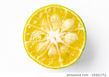 扁實檸檬 93881752