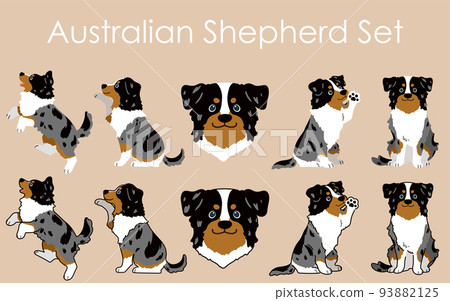 Simple and cute Australian Shepherd illustration set with/without main lines 93882125