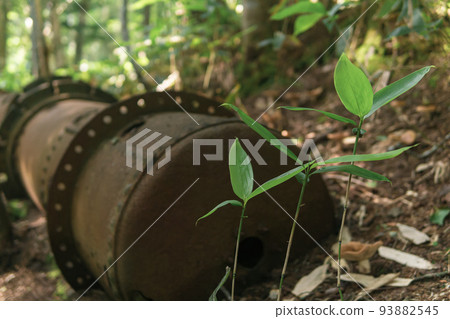 remains of rusty industrial equipment among the forest remains of rusty industrial equipment among the forest 93882545