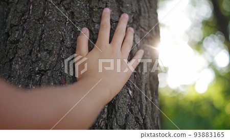hand touch the tree trunk. ecology a energy forest nature concept. a kid hand touches a pine tree trunk close-up glare. hand tree touch trunk. bark wood. tree wild forest travel sun concept hand touch the tree trunk. ecology a energy forest nature concept. a kid hand touches a pine tree trunk close-up glare. hand tree touch trunk. bark wood. tree wild forest travel sun concept 93883165