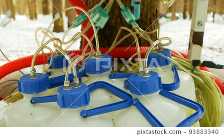 Scientific measurement science station bottles of respiration tree trunk carbon dioxide, co2 global change climate, temperature, scientific research, modern methods, technology technological cables 93883340