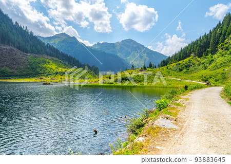 Idyllic mountain landscape at Riesach Lake 93883645