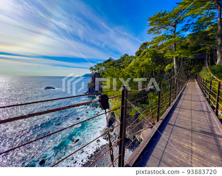 橋立吊橋 5 93883720