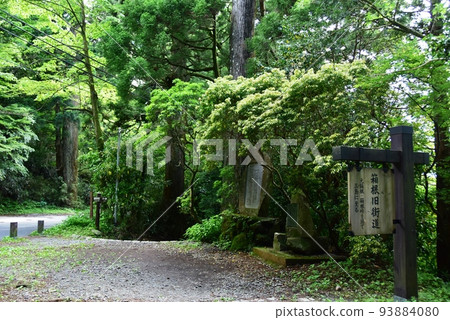 箱根町箱根舊高速公路指南板和舊箱根高速公路蘆之湖附近的杉樹 箱根町箱根舊高速公路指南板和舊箱根高速公路蘆之湖附近的杉樹 93884080