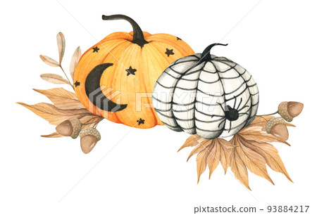 Watercolor floral pumpkins composition. Pumpkins for Halloween. Thanksgiving decor. Watercolor floral pumpkins composition. Pumpkins for Halloween. Thanksgiving decor. 93884217