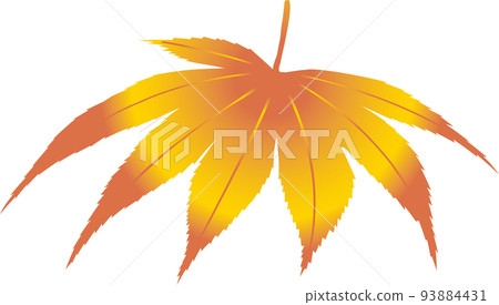 秋葉漸變 3 93884431