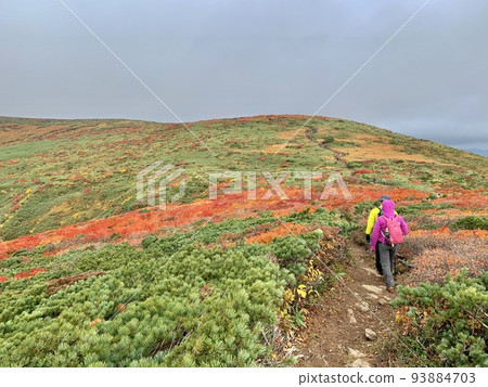 Kurikoma mountain climbing in autumn 93884703