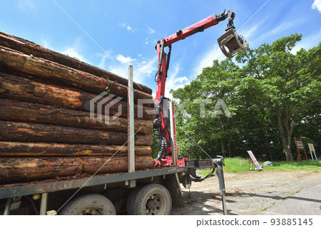 Forestry Scene of loading timber onto a truck 93885145