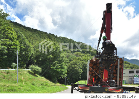 Forestry Scene of loading timber onto a truck 93885149