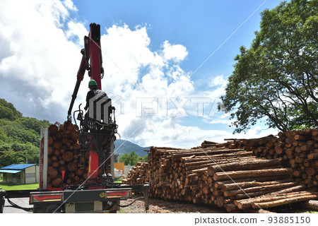 Forestry Scene of loading timber onto a truck Forestry Scene of loading timber onto a truck 93885150
