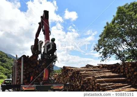 Forestry Scene of loading timber onto a truck 93885151