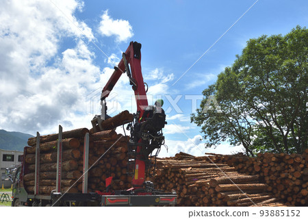 Forestry Scene of loading timber onto a truck 93885152