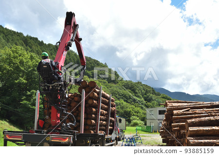 Forestry Scene of loading timber onto a truck 93885159