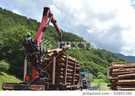 Forestry Scene of loading timber onto a truck 93885160