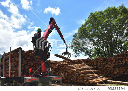 Forestry Scene of loading timber onto a truck 93885194