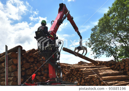 Forestry Scene of loading timber onto a truck 93885196