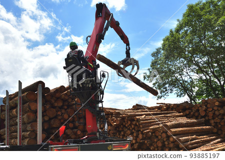 Forestry Scene of loading timber onto a truck Forestry Scene of loading timber onto a truck 93885197