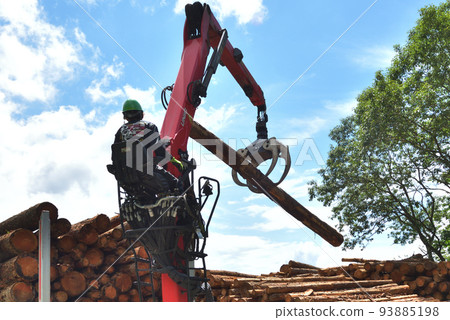 Forestry Scene of loading timber onto a truck 93885198