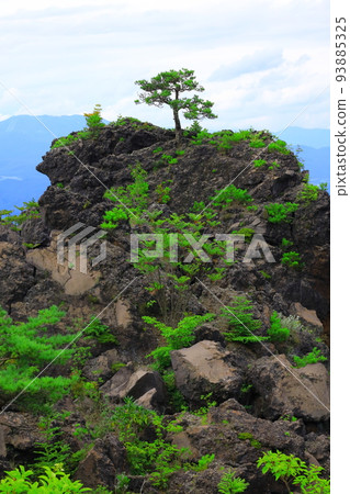 群馬縣 Tsumagoi 村 Oniohidashi 花園 群馬縣 Tsumagoi 村 Oniohidashi 花園 93885325