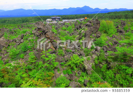 Gunma Prefecture Tsumagoi Village Onioshidashi Garden Gunma Prefecture Tsumagoi Village Onioshidashi Garden 93885359