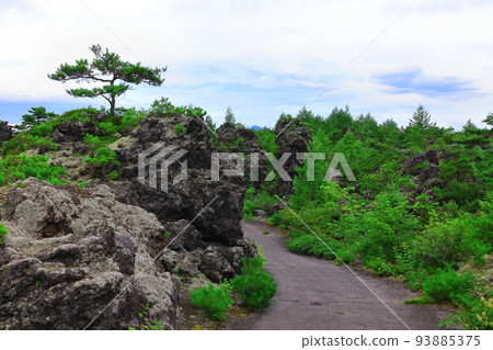 群馬縣 Tsumagoi 村 Oniohidashi 花園 群馬縣 Tsumagoi 村 Oniohidashi 花園 93885375