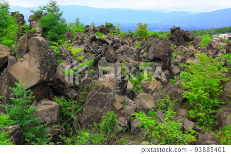 Gunma Prefecture Tsumagoi Village Onioshidashi Garden 93885401
